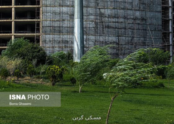 وزش باد شدید درغرب و نیمه جنوبی تهران