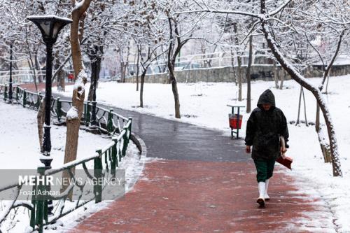 هشدار یخبندان به کشاورزان کاهش ۱۲ درجه ای دمای هوا