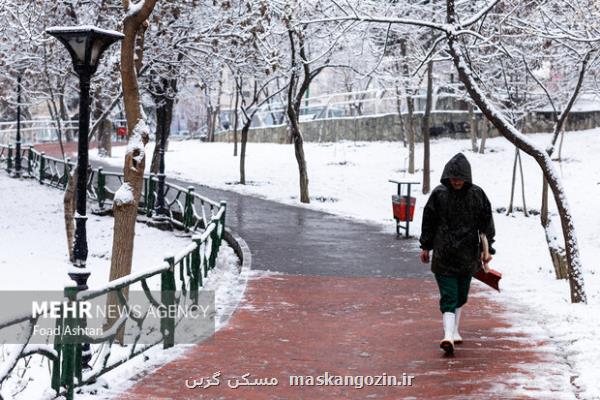 هشدار یخبندان به کشاورزان کاهش ۱۲ درجه ای دمای هوا