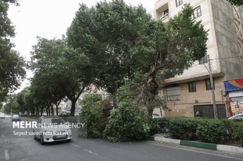 هواشناسی ایران 8 خرداد پیش بینی طوفان در تهران و البرز