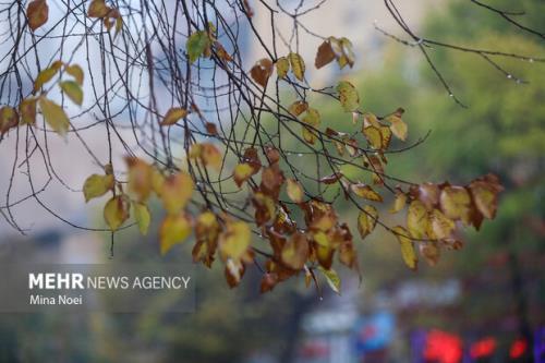 هواشناسی ایران امروز ۱۱ مهر صدور هشدار سرمازدگی