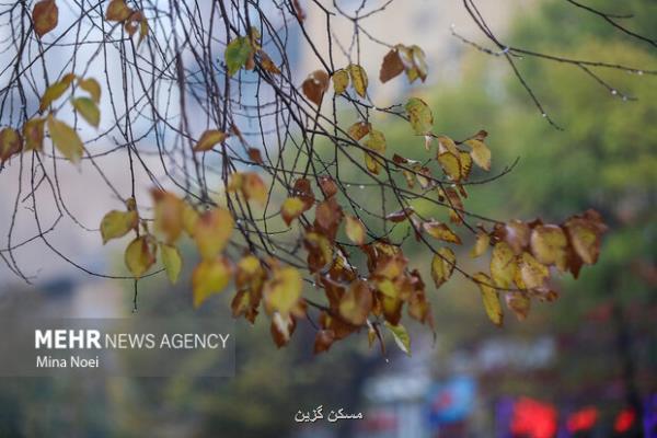 هواشناسی ایران امروز ۱۱ مهر صدور هشدار سرمازدگی