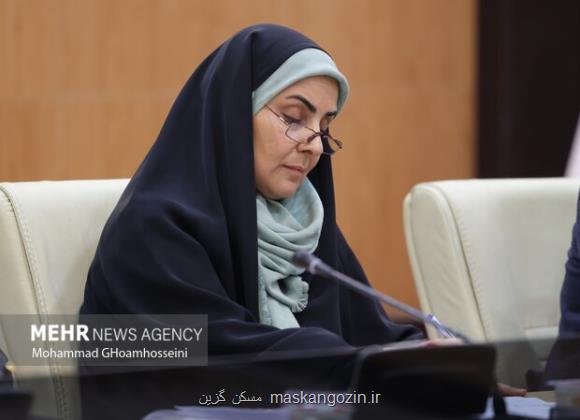 مشارکت بخش خصوصی در حمل و نقل ریلی بیشتر می شود