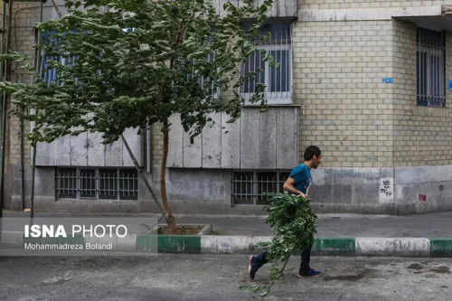 وزش باد شدید در تهران