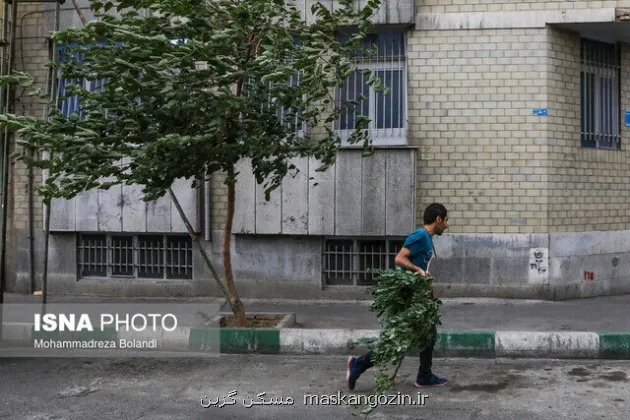 وزش باد شدید در تهران
