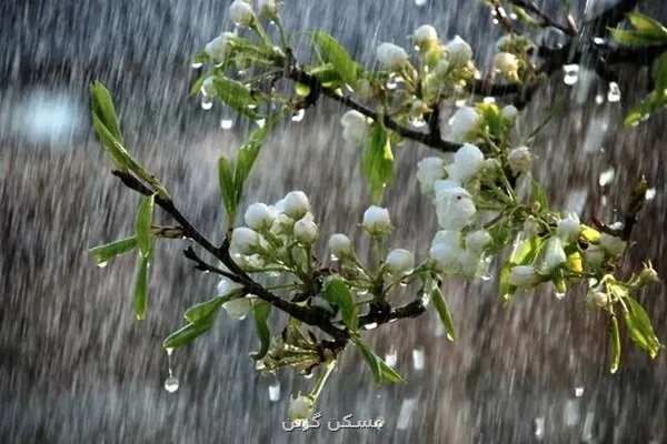 پیش بینی رگبار و رعدوبرق در نوار شمالی کشور